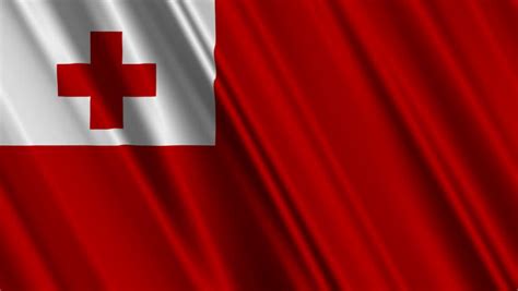 Tonga Flag, With Real Structure Of A Fabric Stock Footage Video 326278 ...