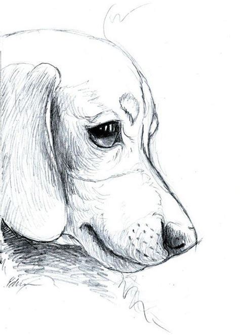Free Dog Sketches Easy To Draw For Beginner - Sketch Art and Drawing Images