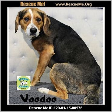 - Arkansas Dog Rescue - ADOPTIONS - Rescue Me!