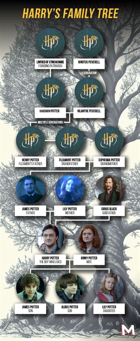 Harry Potter's Family Tree, Explained