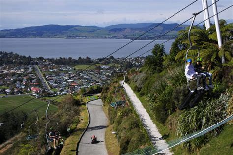 Rotorua Luge Stock Photos, Pictures & Royalty-Free Images - iStock