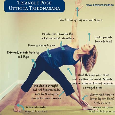 Triangle Pose (Utthita Trikonasana) - In Balance Health