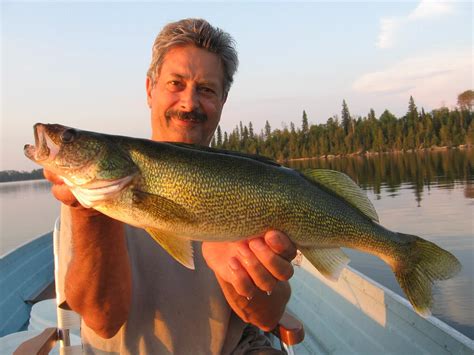 Gallery - Ontario North Fishing Adventures