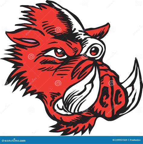 Razorback Head Vector Illustration Stock Vector - Illustration of tusks ...