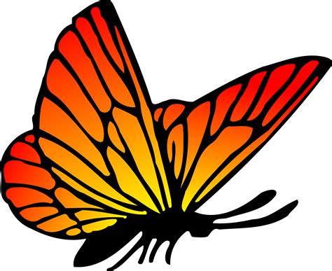 Free vector clipart butterfly pictures on Cliparts Pub 2020! 🔝