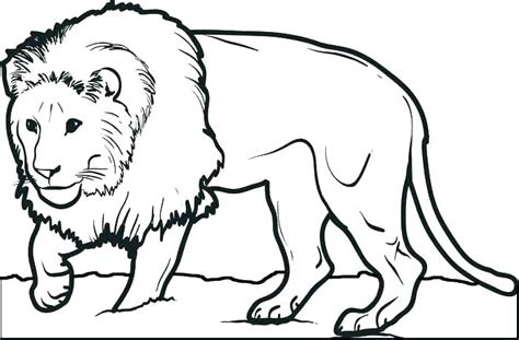 Lion Pokemon Coloring Pages Coloring Pages