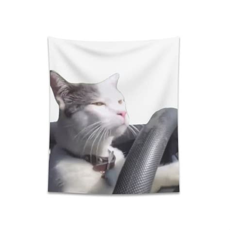 Cat Driving a Car - Etsy