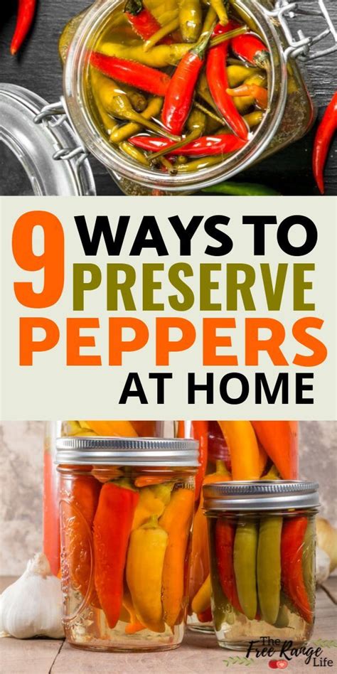 Preserving Peppers: 9 Ways to Preserve Peppers At Home | Stuffed peppers, Preserving peppers ...