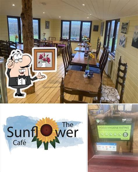 The Sunflower cafe in Stroud - Restaurant reviews