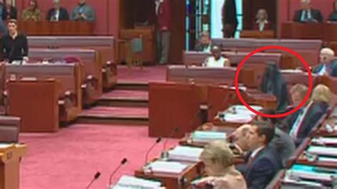 Pauline Hanson again sparks controversy, wears burqa in the Senate