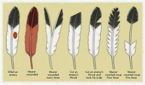 White Wolf : Eagle Feathers and the Sacred Meaning to Lakota People