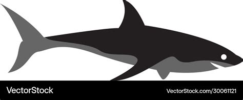 Shark graphic design template isolated Royalty Free Vector