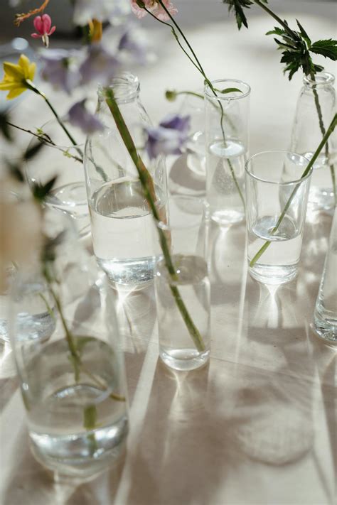 Purple and White Flowers in Clear Glass Vase · Free Stock Photo