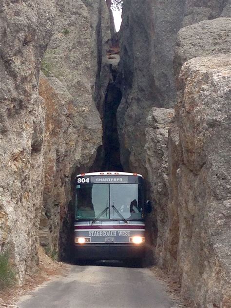 One inch clearance on each side...back road in Custer State Park | Custer state park, State ...