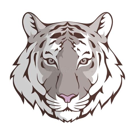 Tigre de Bengala blanco ilustración del vector. Ilustración de vector - 5568852