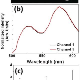 Schematic diagrams of the two types of electroporation micro-devices... | Download Scientific ...