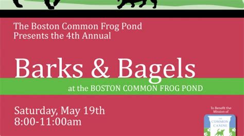 Downtown Boston | Barks & Bagels at The Boston Common Frog Pond
