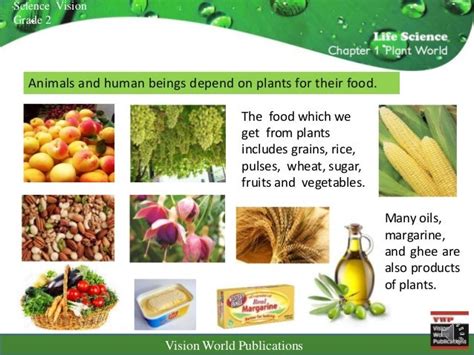 Sc v 2 ch 1 lsn 3 uses of plants