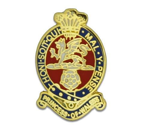 Princess of Wales's Royal Regiment Regimental Lapel Badge - Etsy