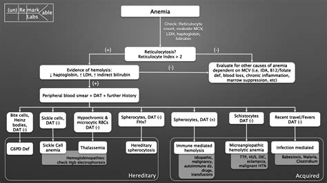 Anemia Diagnosis Algorithm