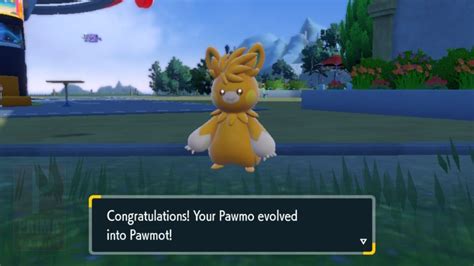 How to Evolve Pawmo into Pawmot in Pokemon Scarlet & Violet - Prima Games