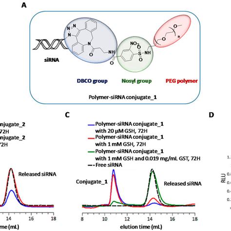 (A) Chemical structure of polymer-siRNA conjugate_1. (B and C)... | Download Scientific Diagram