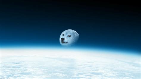 Doge Space Wallpaper - WallpaperSafari