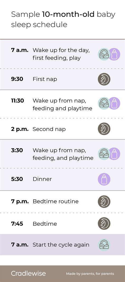 10 month old baby sleep schedule