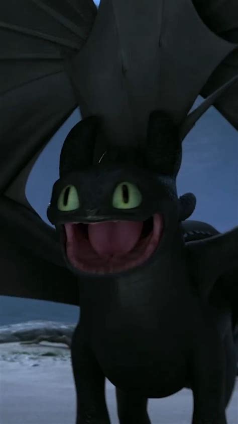 Toothless - Cute Dragon from How to Train Your Dragon