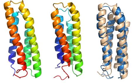 Cell membrane proteins give up their secrets