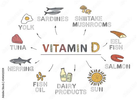 Vitamin D, infographics. Foods rich in vitamin D. natural products on ...