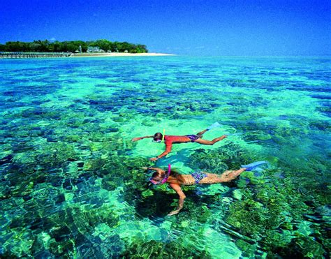 Cairns Green Island Snorkel Tours | Save $48.50