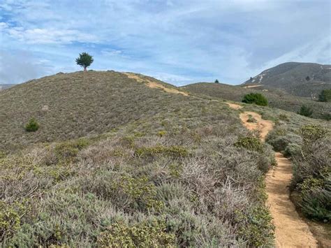 Find the Best Hiking in Half Moon Bay: 11 Trails for all Levels