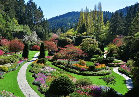 Butchart Gardens History