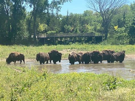 Omaha Zoo and Wildlife Safari Park – Nebraska… – Rolling by the Dozen