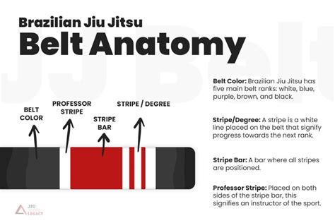 Guide to BJJ Belts Ranking System [8 Belts Explained]