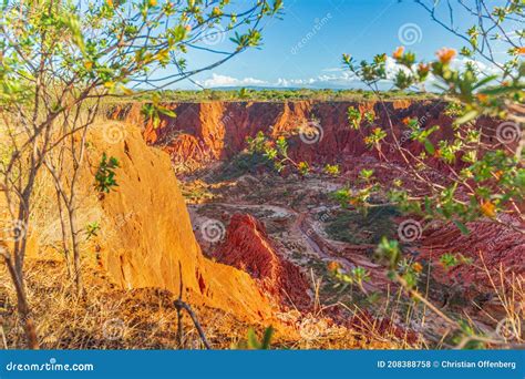 The Tsingy Rouge (Red Tsingy) in Madagascar Stock Photo - Image of africa, cobblestone: 208388758