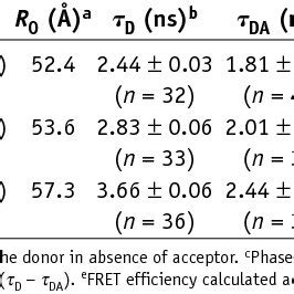 | FRET efficiency determined by FLIM | Download Table