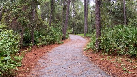 Walsingham Park – Florida Hikes