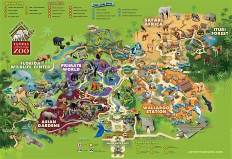 Tampa Zoo, Florida on Behance