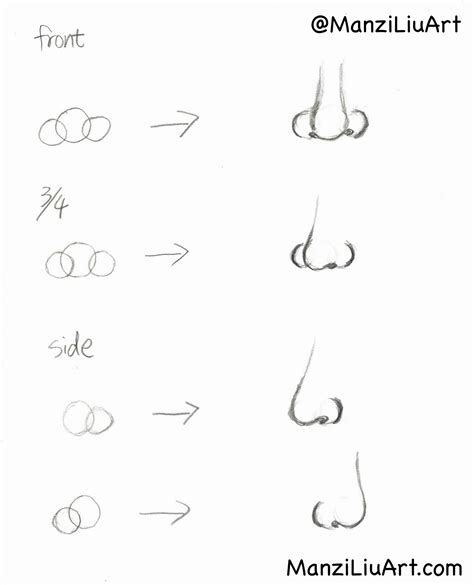 How To Draw A Nose Step By Step