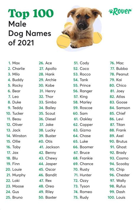 The Top 100 Male Dog Names of 2021