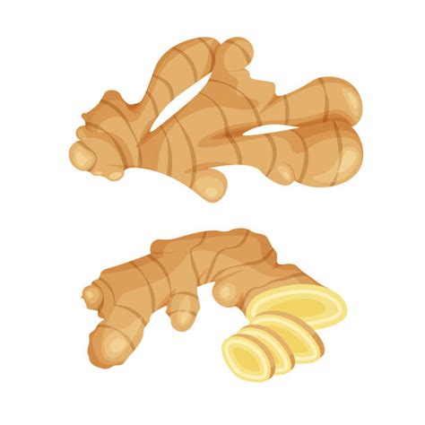 Ginger Illustrations, Royalty-Free Vector Graphics & Clip Art - iStock