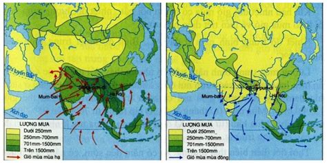 Đặc điểm của khí hậu nhiệt đới gió mùa? Các yếu tố kiểm soát khí hậu nhiệt đới gió mùa?