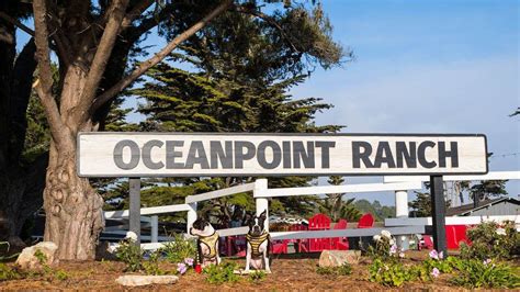 Dog Friendly Cambria Vacation – Oceanpoint Ranch Hotel | Ranch hotel, Cambria, Santa barbara hotels