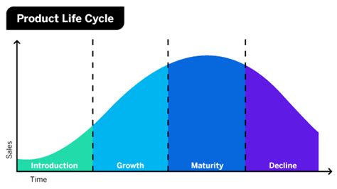 Product Lifecycle Explained: Stages, Examples, and Product Life Cycle Diagram (2022)