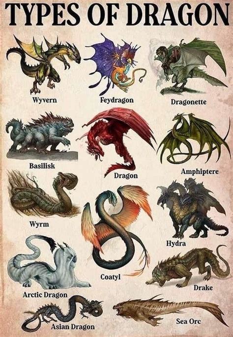 The 13 Kinds of Dragons | Daily Infographic