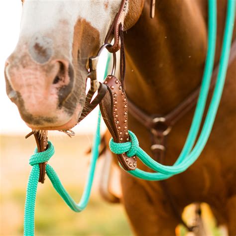 22 Ft Clinician Mecate Reins– Andrea Equine