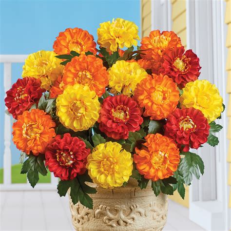 Marigold Mixed Arrangement Bushes - Set of 3 | Collections Etc.