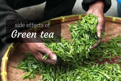 Green Tea Side Effects You Must Discover Now – Ayurvedum